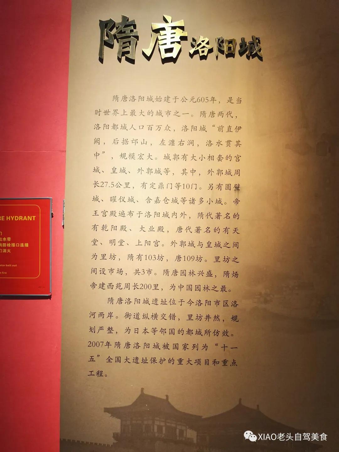 洛阳博物馆自驾旅游攻略,洛阳附近美食博物馆