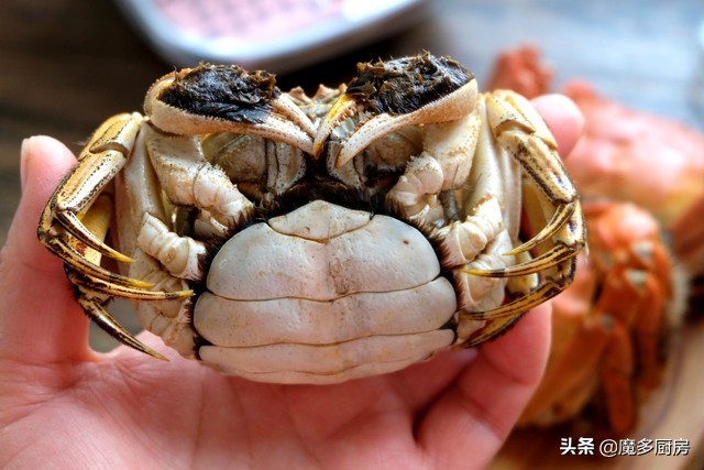 阳澄湖大闸蟹的正确吃法如何清蒸,阳澄湖大闸蟹的正确蒸法怎么蒸