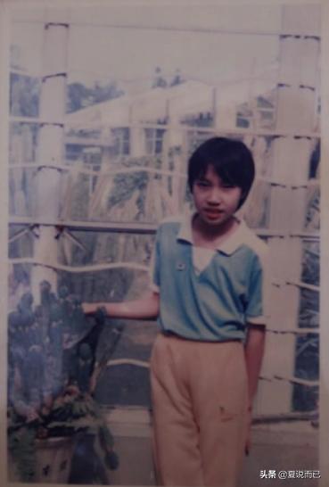 林丹个人感情经历,林丹照片和简介