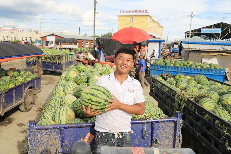 宁安市坚持“五位一体”强力推进农业生产高质量发展
