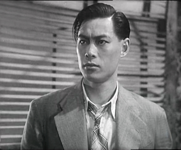 秦怡年轻时高清照片,秦怡年轻时代照片大全