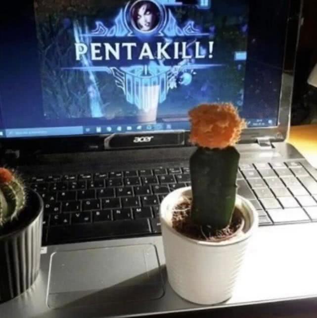 lol婕拉厉害,婕拉lol操作秀