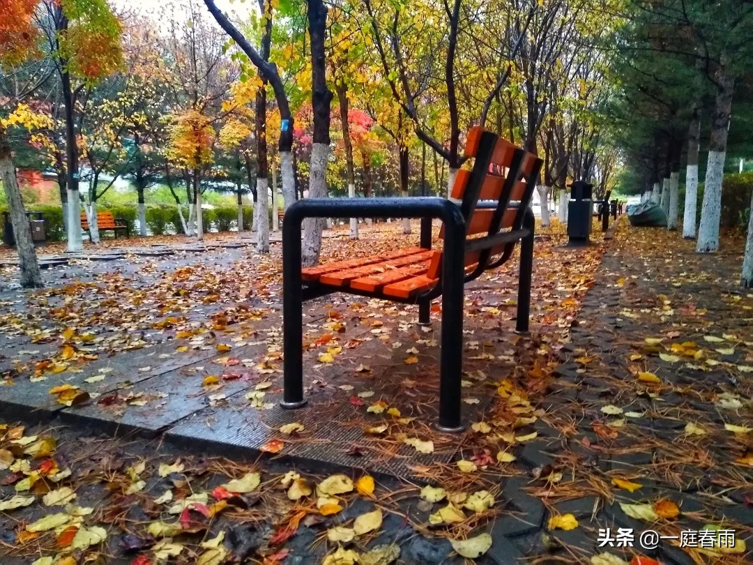 教育部部属六所师范大学是985吗,东北师范大学是什么级别