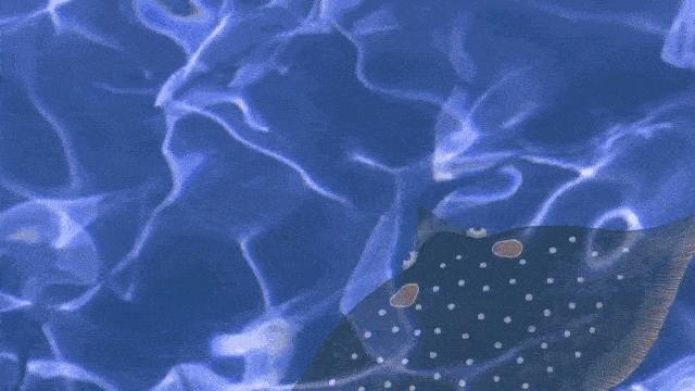 奇丑的人鱼图片,人鱼到底长什么样子