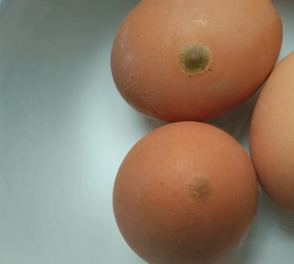 5种毒鸡蛋不能吃,毒鸡蛋对孩子的危害