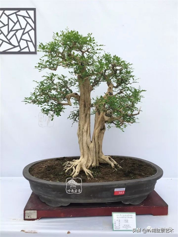 骞哥涔呬箙鐢滅敎铚滆湝,骞哥涔呬箙