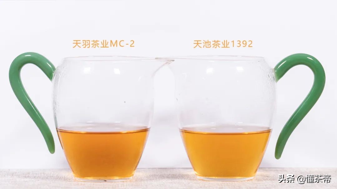 高端单丛蜜兰香,凤凰单丛蜜兰香的优劣区别