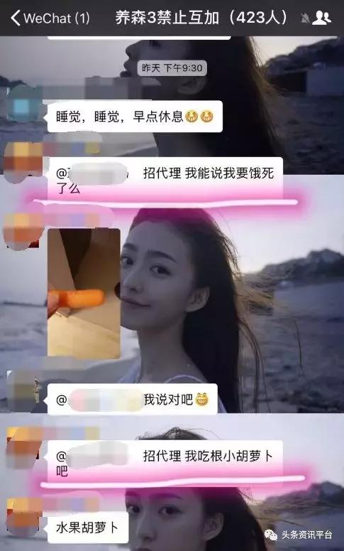 丽美人个人资料,丽美人月季