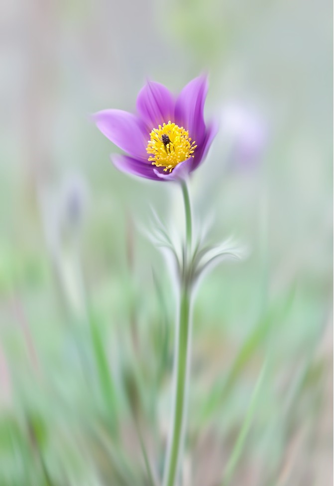 微信怎么设聊天背景,烟花聊天背景图微信