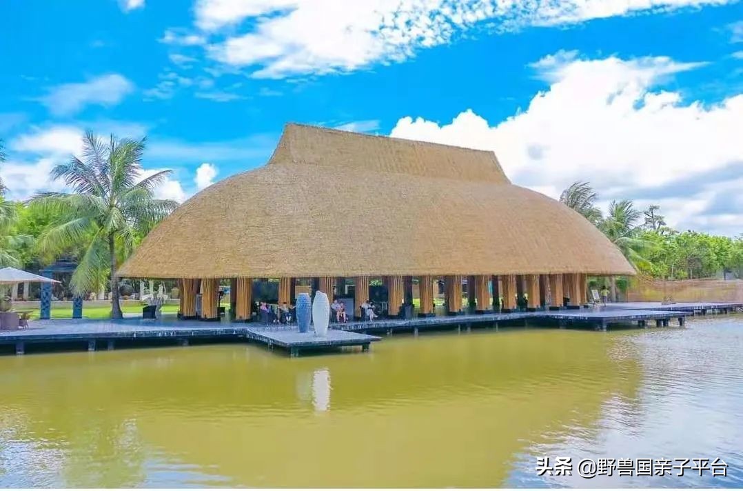 广州遛娃出游,广州遛娃3-4天攻略