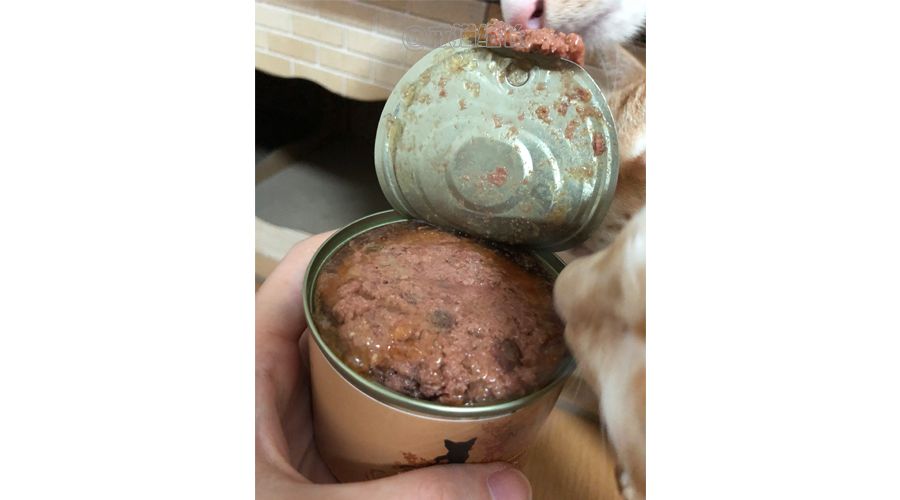德国进口猫咪罐头,德国小李子猫咪主食罐头测评