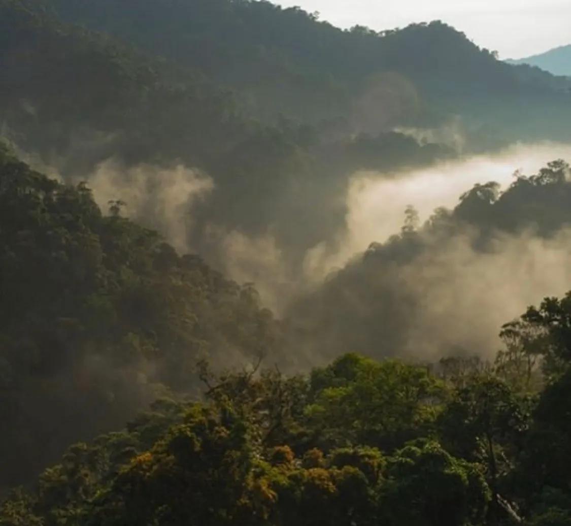 地球日50周年,追求零碳排、资源永续,看美妆品牌为环保做了什么