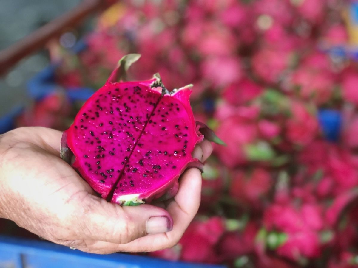 厦门温泉酒店吃住一体团购,厦门温泉酒店温泉套票