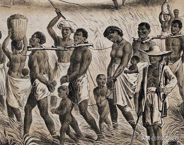 航海家约翰富兰克林,航海家亨利的探险活动