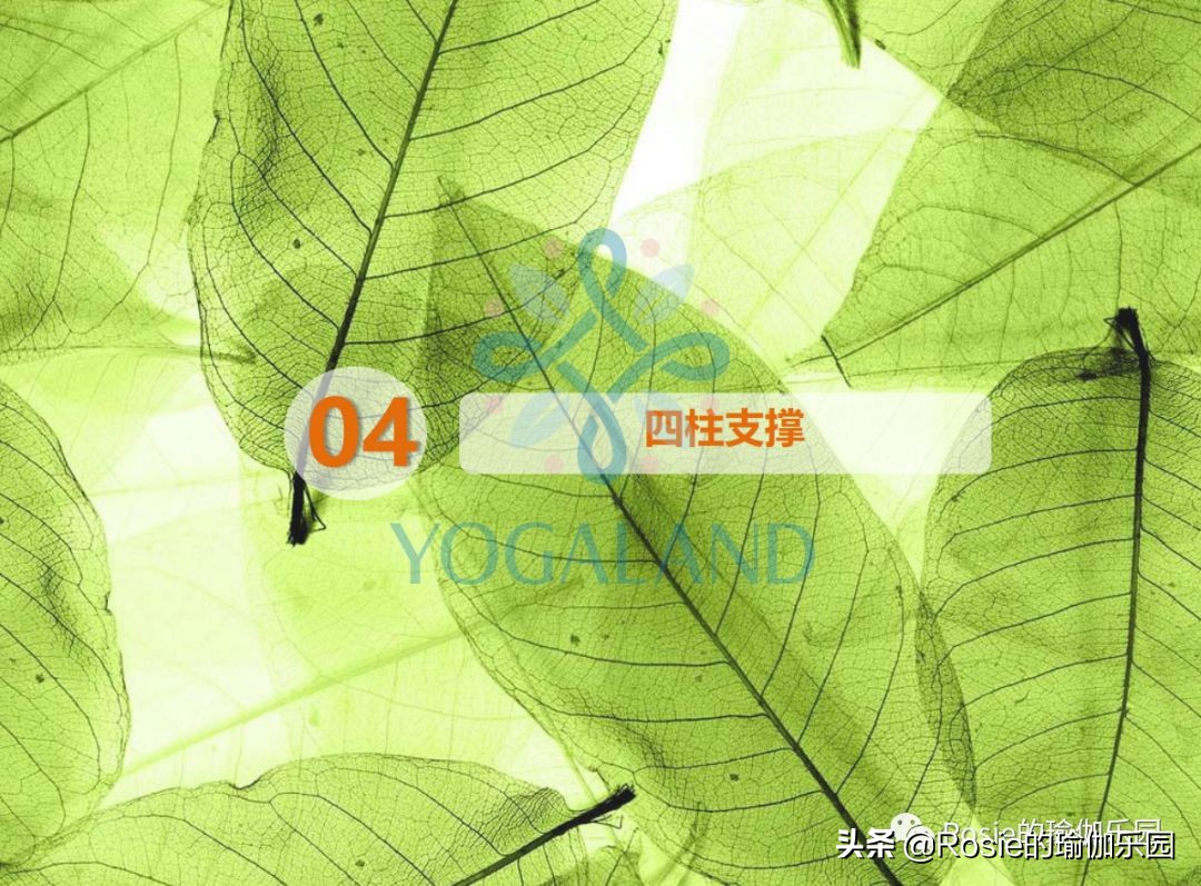 瑜伽小白如何在家自己练瑜伽,瑜伽零基础入门的基本体式有哪些