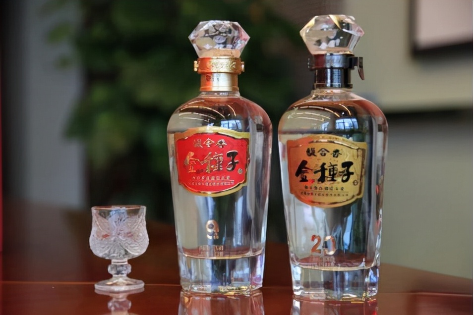 金种子酒未来几年能否高速成长,金种子酒年度盘点