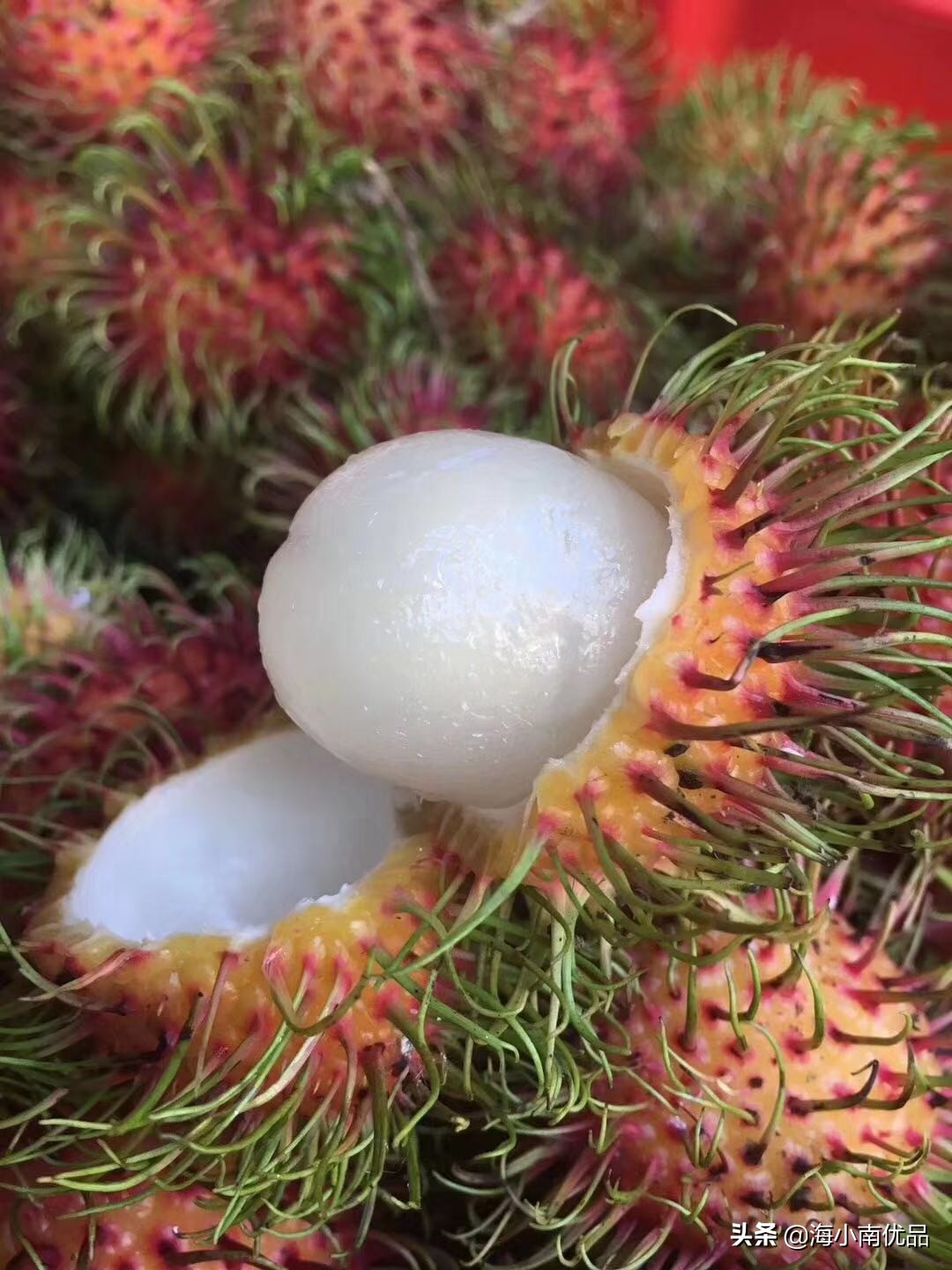 红毛丹怎么剥里面的壳,剥红毛丹的正确方法