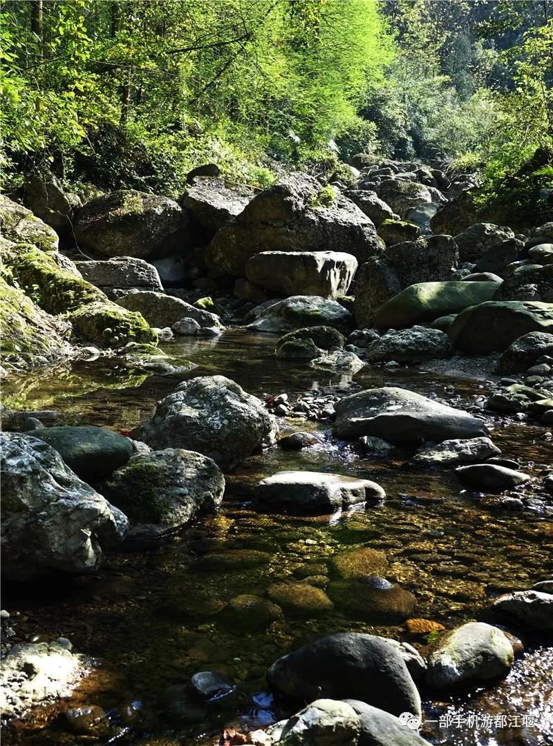青城山熊猫谷都江堰一日游攻略,熊猫谷青城山都江堰一日游攻略