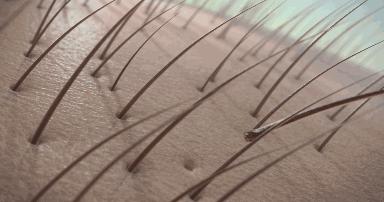 Dior、娇兰生产商做了一块洗头皂，100%天然原料，生发更护发