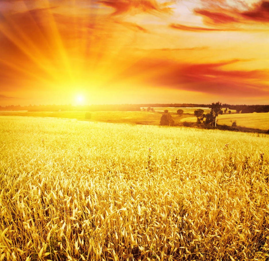 大年初七人财旺,大年初七人人都过生日