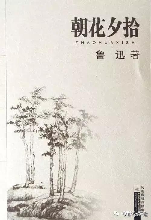 初一名著阅读朝花夕拾,初一看的书朝花夕拾