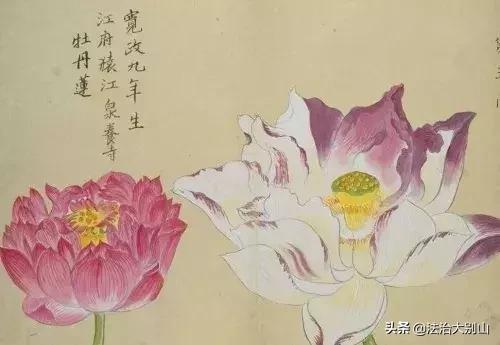 语文拓展100个容易被误用的成语,常见成语及成语误用的类型