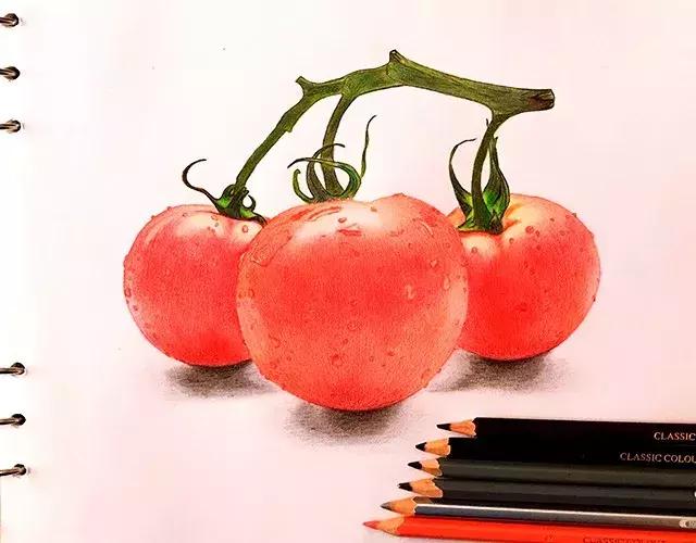 儿童彩铅画番茄,彩铅画写生番茄