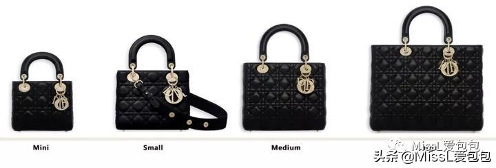 第6只包｜LadyDior：永远的王妃