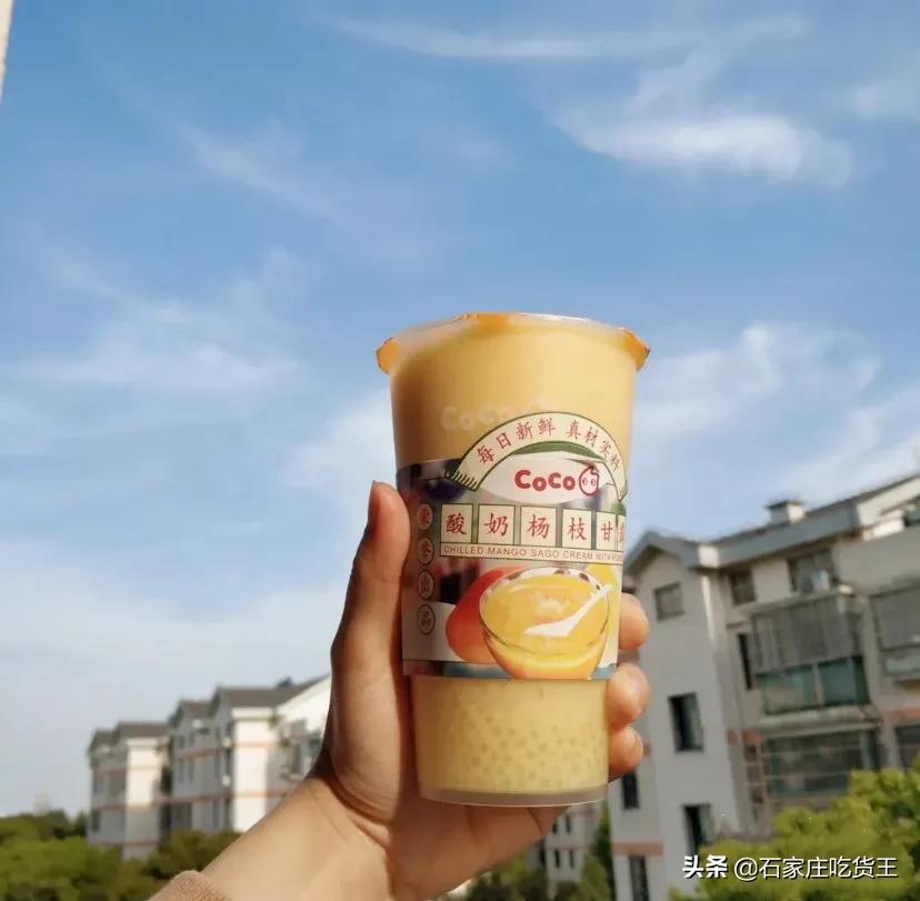 夏日必备的杨枝甘露就是这么简单,夏天除了杨枝甘露还有什么好喝