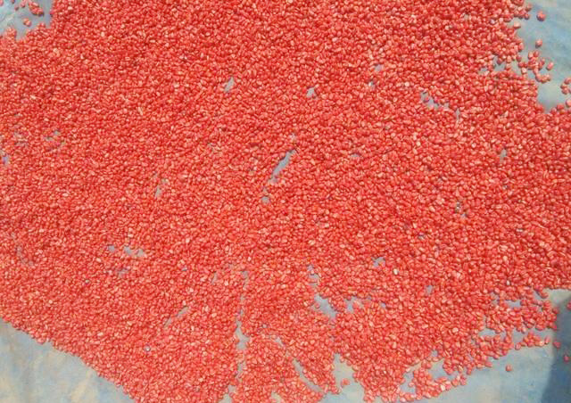 最新玉米种子批发价格,散装玉米批发价格