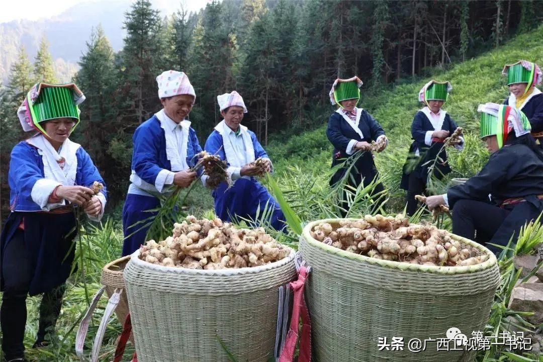 璐靛窞闈犲北鍚冨北鏈夋柊鍚冩硶,骞胯タ璐哄窞灞遍噷楗