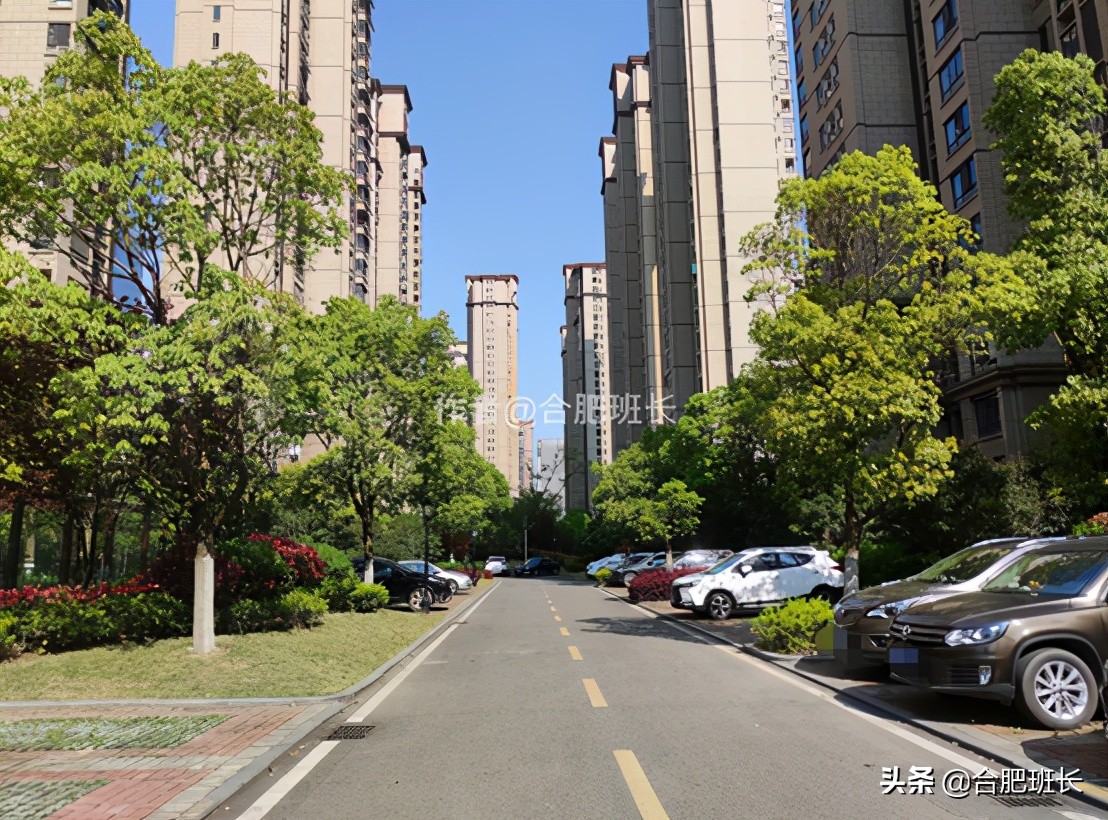 合肥滨湖新区四十六中附近,滨湖四十六中南校区有万科楼盘吗