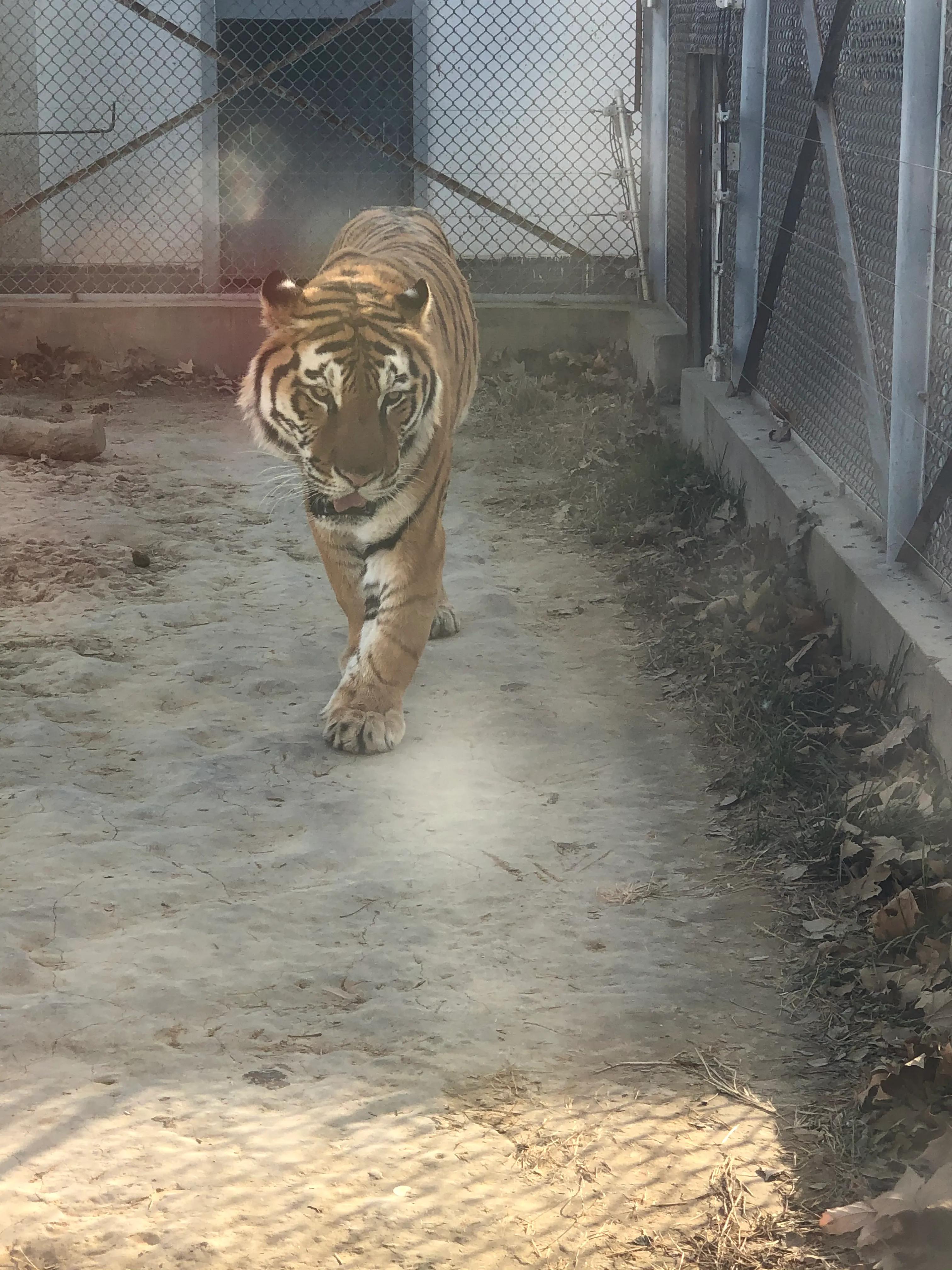 平顶山河滨公园旅游攻略,平顶山森林公园游记