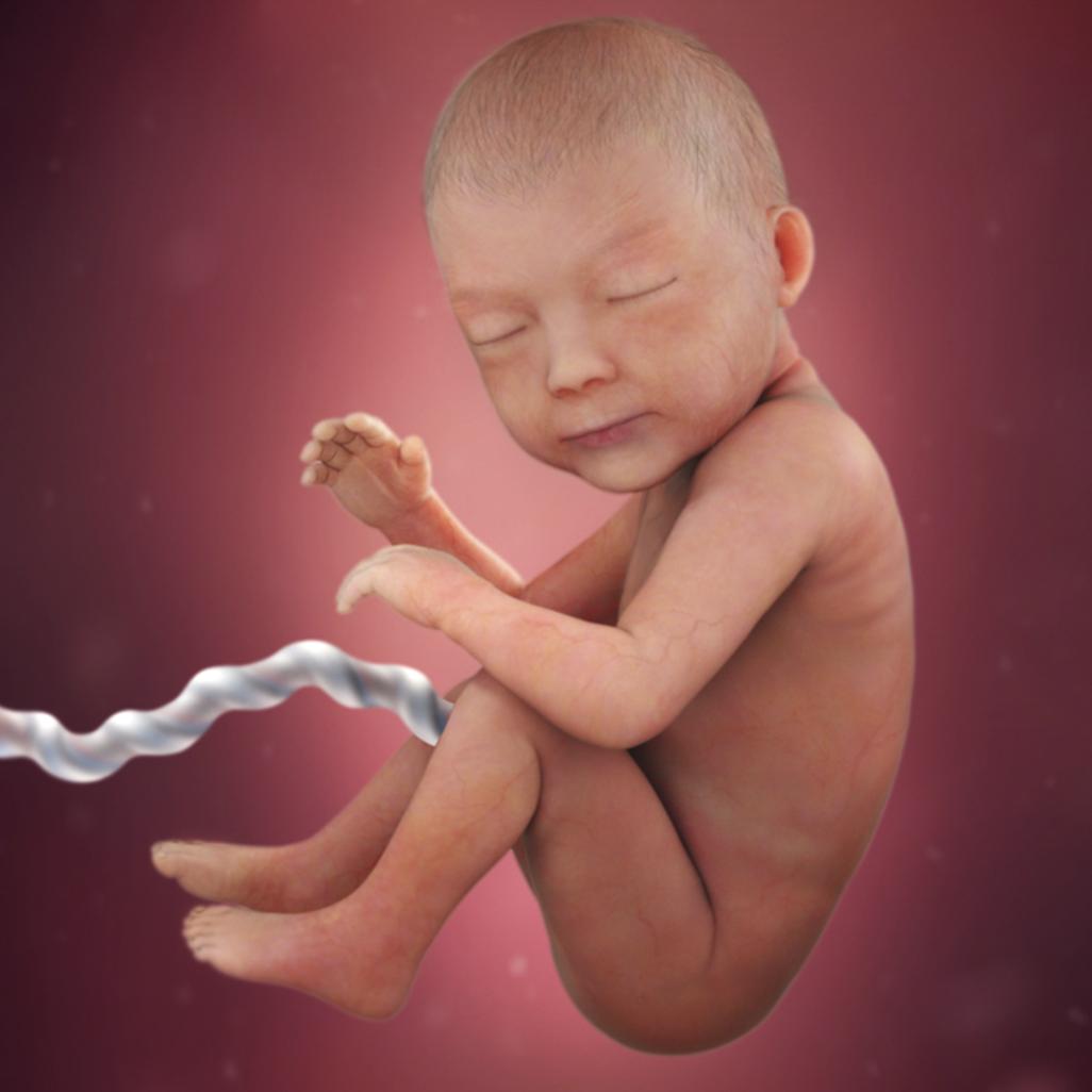 怀孕40周胎宝宝每周长什么样,怀孕40周胎停什么原因