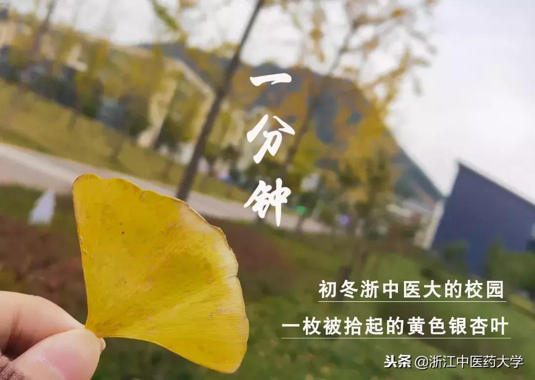 仰取俯拾的释义,仰取俯拾的解释