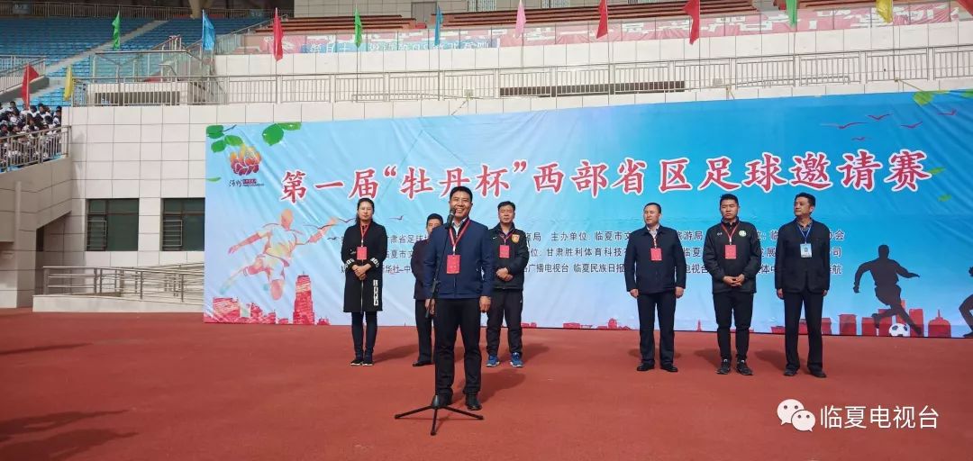 牡丹杯锦标赛,北京牡丹杯足球赛