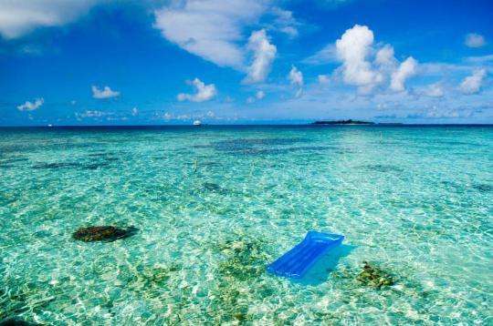 怎么从空气中收集水,如何从空气中获取水