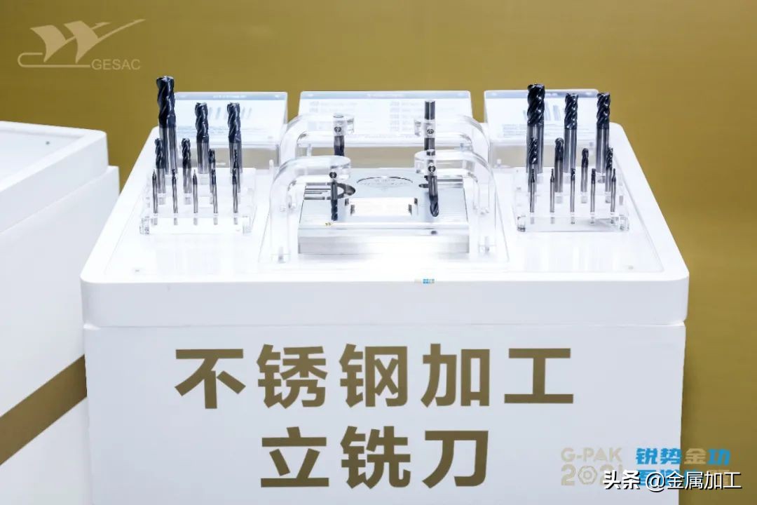 厦门金鹭展会,厦门金鹭中秋节晚会视频