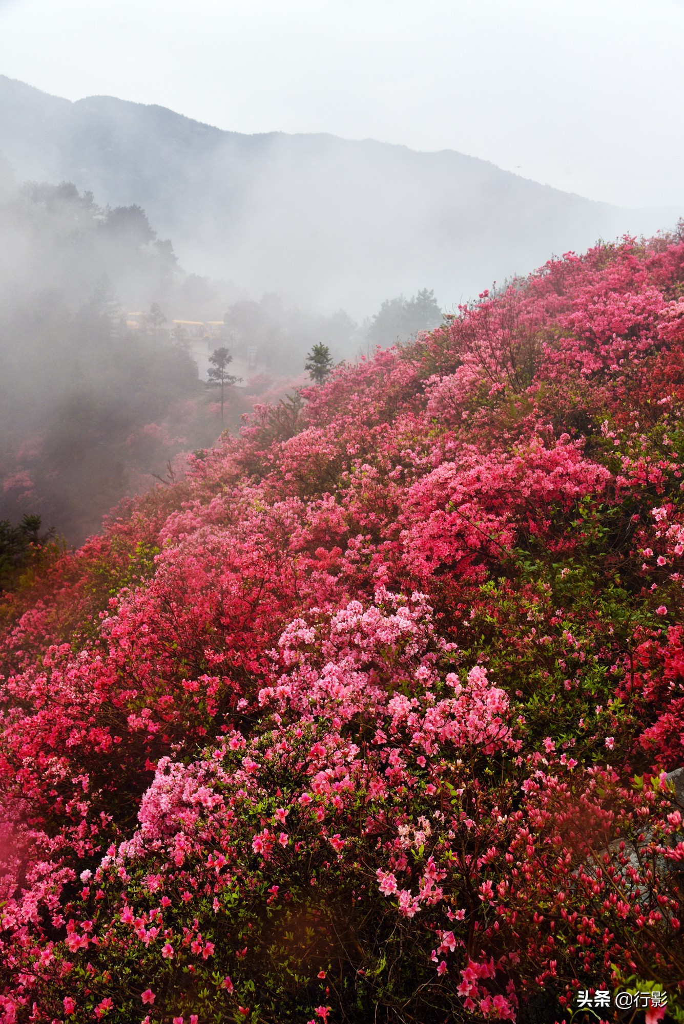 武汉青山网红打卡景点,云雾山武汉