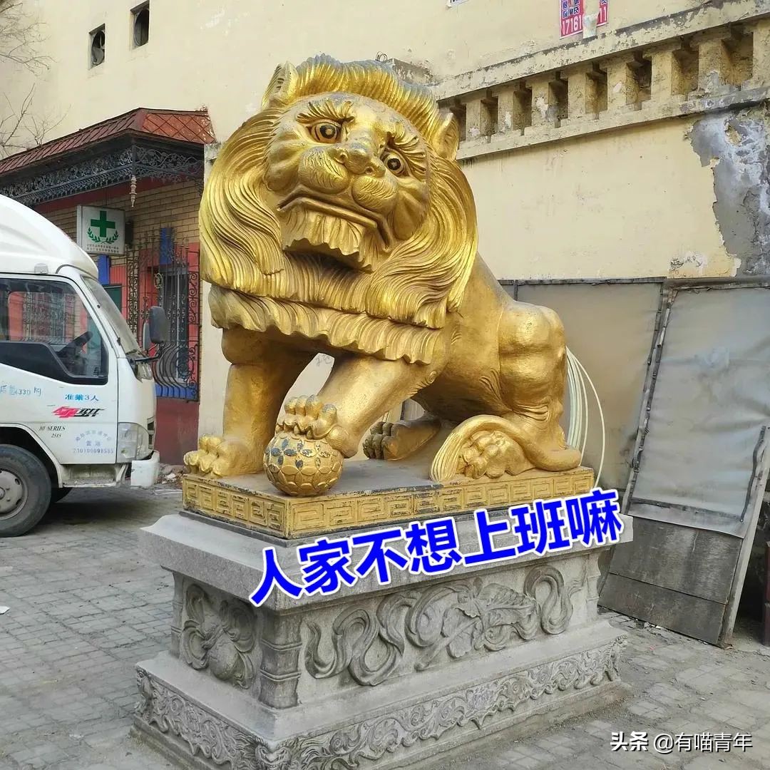 北大石狮子绝育事件,北大石狮子修复了吗