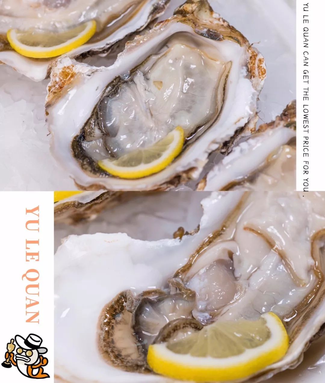 大连人都喜欢的平价海鲜超市，现捞现歹不是梦