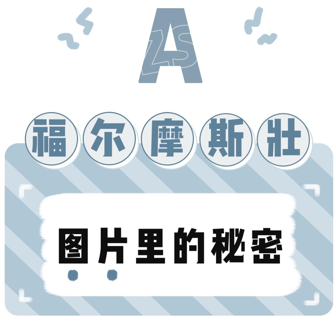 网购避雷大全,网购避雷技巧动画图