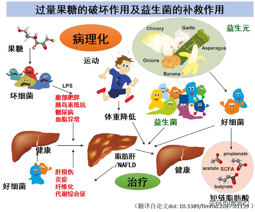 一周健康晚餐备菜,成年人一周七天营养晚餐