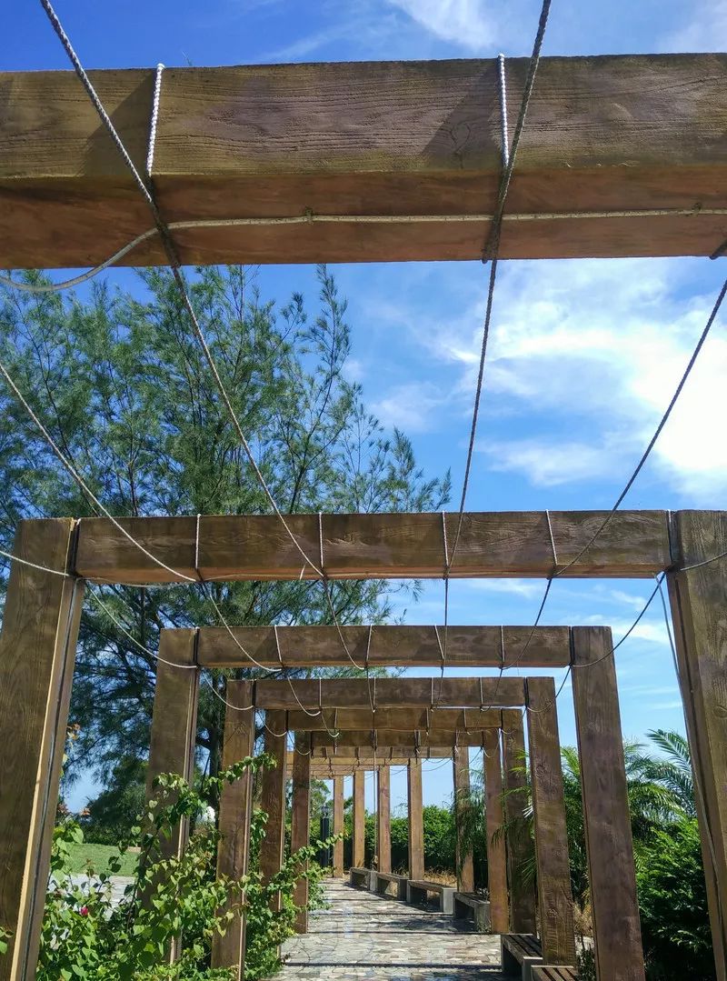 鐏北宀涙毚椋庨洦瑙嗛,鐏北宀涙毚椋庨洦