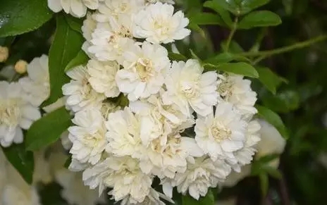 有“味”道1·夏日来袭如何不做“有味”一族