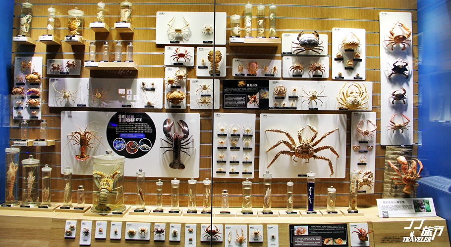 青岛最大的海洋世界在哪里呀,山中有海海上有门是谁写的