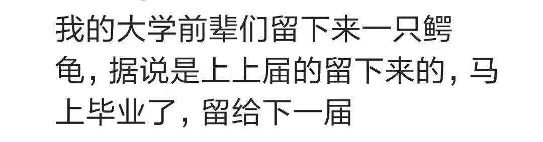 大学宿舍必备的硬盘,大学宿舍硬盘推荐