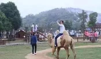 东南花都花博园景观,东南花都花博园