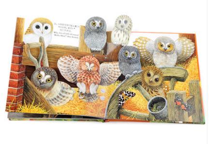 吸引好奇心的书单,没有求知欲的学生