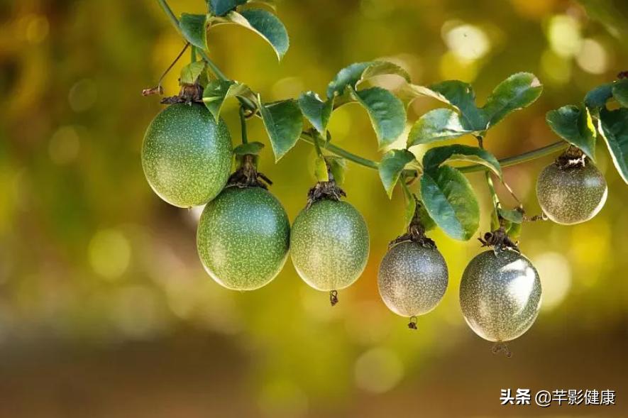 百香果怎么吃可以美白养颜,百香果美容吃法